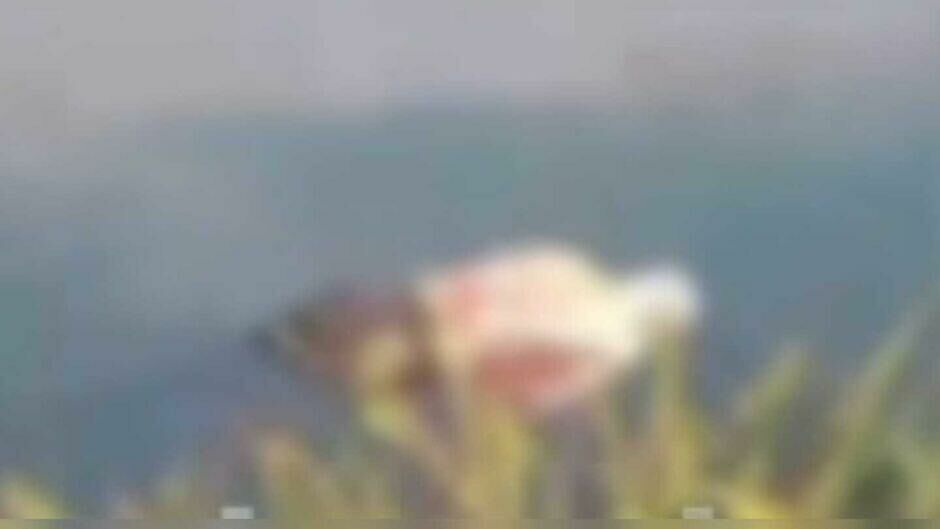 Imagem de compartilhamento para o artigo Dois são presos ao confessarem assassinato de homem encontrado com sacola na cabeça e mãos amarradas em Água Clara da MS Todo dia